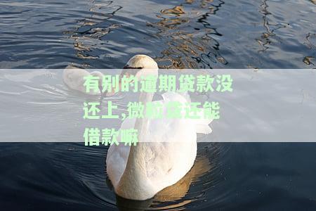 别的网贷逾期微粒贷还了还能用吗，网贷逾期后，微粒贷是否还能继续使用？