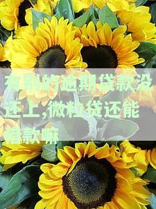 别的网贷有逾期,去借微粒贷能借出来吗，有网贷逾期记录，还能成功申请微粒贷吗？