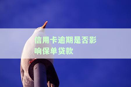 信用卡逾期是否影响保单贷款还款？答案在这里！