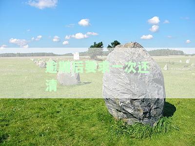 逾期后要求一次还清怎么办，如何处理逾期后的一次性还清要求？