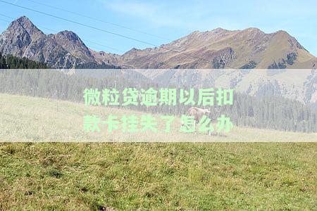 微粒贷逾期以后扣款卡挂失了怎么办-微粒贷逾期以后扣款卡挂失了怎么办理