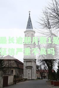 最长逾期期数2：不满足我行社借款条件，最长逾期期数含义解析