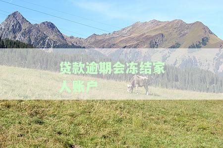 贷款逾期会冻结家人账户