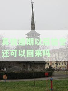 真信逾期后：信誉还能恢复吗？安全性如何？会有何影响？