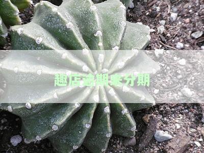 趣店还款可以在来分期上还吗，如何在来分期上进行趣店还款？