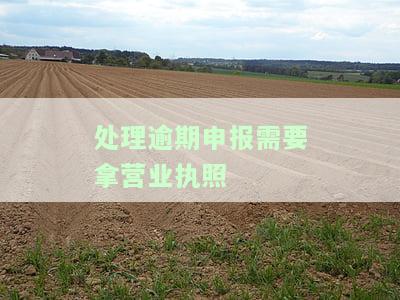 处理逾期申报需要拿营业执照-处理逾期申报需要拿营业执照吗