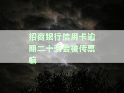 招商银行信用卡逾期：全额还款与协商方案，上征信及能否办理蓄卡？