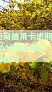 招商银行信用卡4000逾期：影响其他银行、高额滞纳金，如何解决？