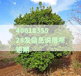 借呗逾期短信发来律师函是真的吗，警惕！借呗逾期收到律师函，是否真实？