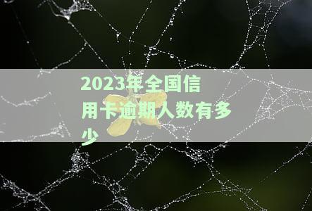 2021年全国信用卡逾期总金额及2020年数据对比