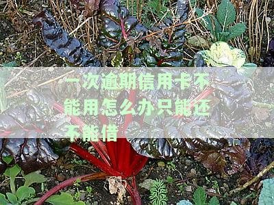 一次逾期是否会影响办理信用卡？
