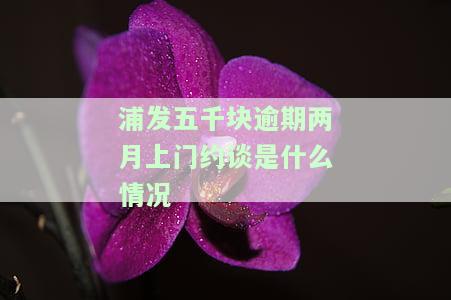 浦发五千块逾期两月上门约谈是什么情况