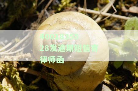 逾期了发律师函是哪个快递，如何选择合适的快递发送逾期律师函？