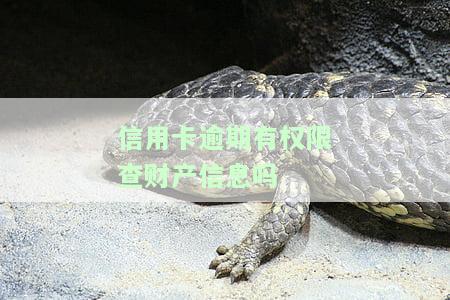 看信用卡逾期会进看守所吗，信用卡逾期是否会导致被关进看守所？