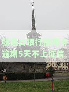 张家口银行信用卡逾期5天不上征信吗，张家口银行：信用卡逾期5天是否会上征信？