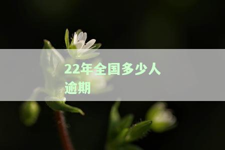2021年及历年全国逾期贷款人数统计