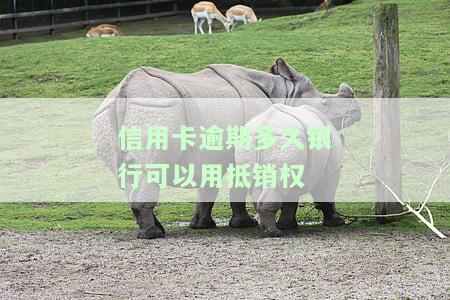 信用卡逾期多久银行可用抵销权抵押贷款？逾期多长时间会被告？