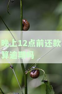 还款日晚上十二点前还上征信吗？还款日当天晚上12点之前还算逾期吗？