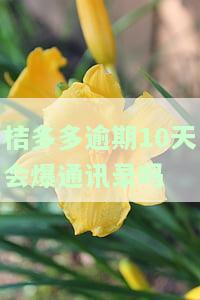 桔多多逾期多久会打电话给通讯录里的人？逾期后果、影响及催收方式全解析