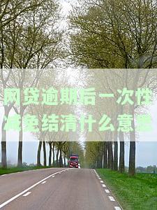 网贷一次性结清减免手续费：真的吗？合法吗？利息如何计算？申请流程是什么？