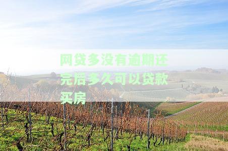 网贷多没有逾期能贷款买房吗，有网贷但未逾期，是否可以申请房贷？