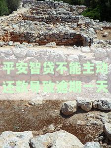 平安智贷晚了一天还款会影响征信吗，平安智贷：晚一天还款是否会影响个人征信记录？