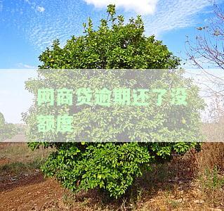网商贷逾期两天暂无额度，多久能恢复正常、恢复征信及正常使用？逾期两天后额度没了，还能恢复吗？逾期一天额度无法恢复，应如何处理？