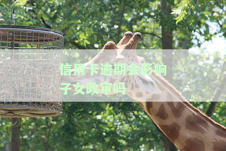 信用逾期会影响孩子吗？了解逾期对子女的影响及预防措