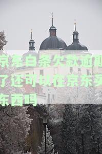 欠款逾期了还可以在京东买东西吗？安全吗？能分期还款或再借吗？