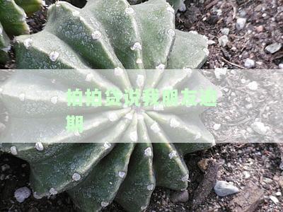 朋友拍拍贷逾期不还，对方威胁告我诈骗，会对我产生何种影响？