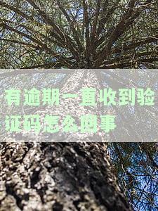 老是收到逾期贷款信息，备受困扰：频繁接收到逾期贷款信息，如何解决？