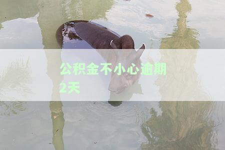 公积金不小心逾期2天有影响吗，公积金逾期两天会有影响吗？你需要知道的事情