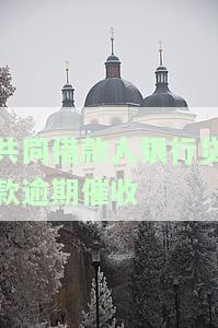 共同借款人银行贷款逾期催收处理方法及影响解析