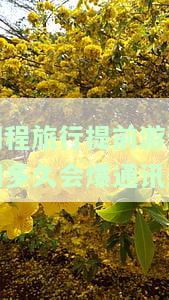 同程旅行提前游逾期多久会爆通讯录-同程提前游逾期一天上征信吗