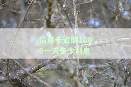 信用卡逾期1000一天多少利息啊，关于信用卡逾期，一天会产生多少利息？