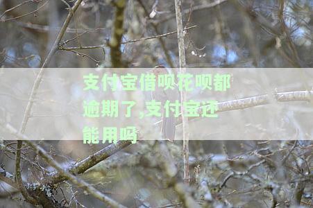 支付宝借呗花呗都逾期了,支付宝还能用吗，逾期未还支付宝借呗和花呗，是否会影响支付宝的正常使用？