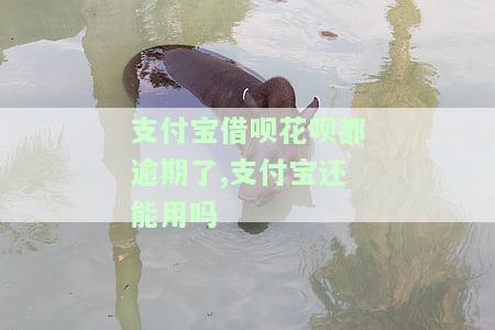 支付宝借呗花呗都逾期了,支付宝还能用吗-支付宝借呗花呗都逾期了,支付宝还能用吗