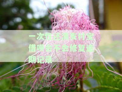 支付宝借呗一次性还清是否会降额？还会产生利息吗？