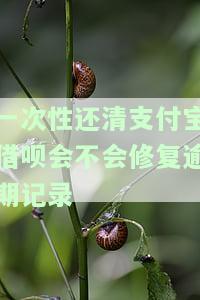 一次性还清支付宝借呗会不会修复逾期记录-一次性还清支付宝借呗会不会修复逾期记录呢