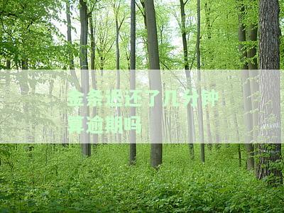 金条还了几分算逾期吗会怎么样，金条逾期几分会有何影响？