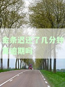 金条还一个小时算逾期吗？影响及解决办法