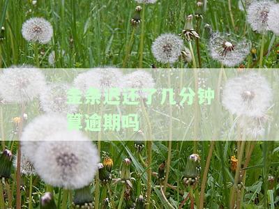 金条一天还款是否会影响征信？答案在这里！