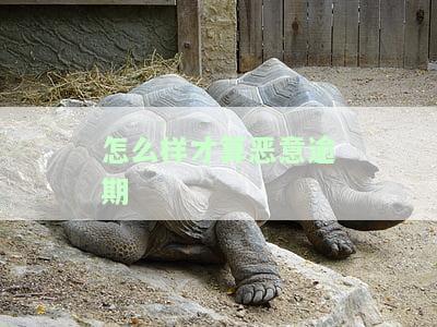 怎么样才算恶意逾期-怎么样才算恶意逾期呢