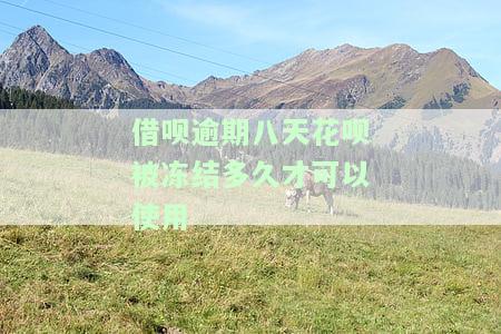 借呗逾期八天花呗被冻结多久才可以使用啊，如何解冻花呗？借呗逾期八天后的解决办法