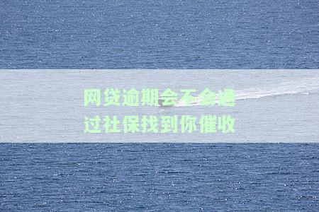 网贷逾期会不会通过社保找到你催收电话？