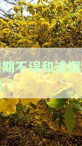逾期不候：含义、近义词与爱情解释，是成语吗？