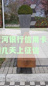黄河银行在线客服联系方式及人工服务入口