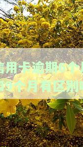 信用卡6个月未还款，逾期警告：信用卡已6个月未还款，立即处理以避免进一步处罚