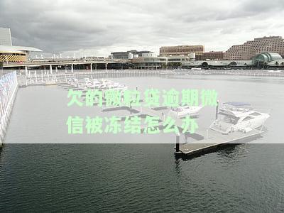 微粒贷逾期微信号无缘无故被冻结，微信钱包微粒贷逾期导致账号无缘无故被冻结，如何解决？
