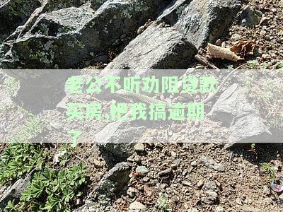 老公不同意贷款买房：如何解决？能否按揭购买？
